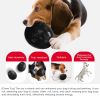 Dino Egg Slow Feeder Chew Toy